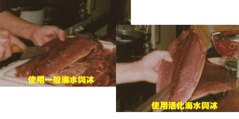 魚鮮度保持